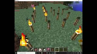 Burned out torches (MINECRAFT)