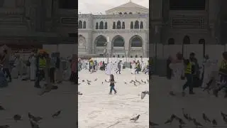 Mecca Vibes #mecca #makkahalmukarromah #harram #umrah #vibes #islamicstatus #islamic