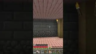 Boxes is in my walls | #minecraft