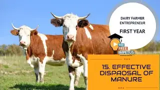 15. EFFECTIVE DISPOSAL AND UTILISATION OF MANURE FROM LIVESTOCK FARM