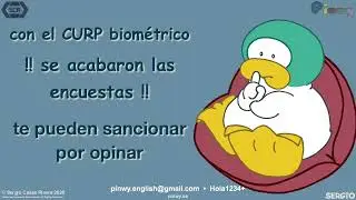 Pinwy | Encuestas