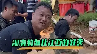 湖南的魚比江西的好賣，也是長見識了。好在幫老爺子把眼前的問題解決了，祝壹切安好#大表哥 #護外