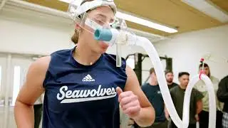 SSU Kinesiology
