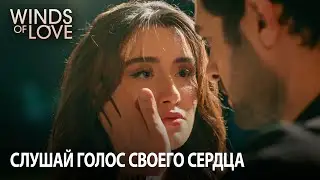 Сердце никогда не солжет тебе | Ветреный холм 80. раздел