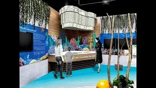 Seychelles Pavilion | Expo 2020 Dubai #expo2020 #dubaicity #exhibition #safisspoons