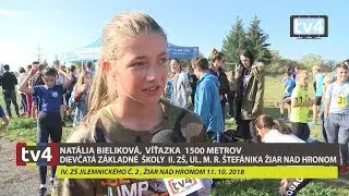 MAJSTROVSTVÁ OKRESU ŽIAR NAD HRONOM V CEZPOĽNOM BEHU