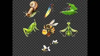 Cute Insects Clipart Bundle Buggy Friends Ladybug Butterfly Bee Caterpillar Dragonfly Grasshopper...