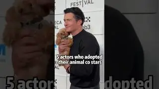 5 actors who adopted their animals co stars #celebrity #shortvideos