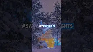 Light Up Your Winter: Safe Paw for Worry-Free Walks on Dark, Snowy Nights #WinterNights