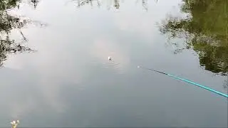 3 hook fishing 🎏 tilapia fishing