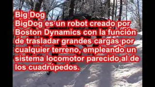 Robots raros.