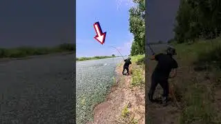 Fish Catching technique ✅ 🐟 EP- 1317 | Natural fishing videos