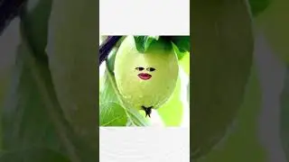 Varise aur Pyar | Comedy Video | Comedy Shorts #shorts