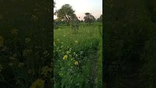 ❤️Village life Achro Thar ❤️#birds #travel #facebook #gaming #Sindh #2026