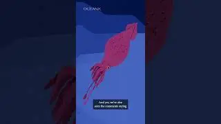 Why Hasn't the Colossal Squid Been Filmed Before?