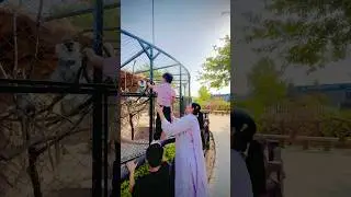 😮😍OMG baby play with monkeys😍😮 | Monkey cute baby | Multi zoo and bird aviary Islamabad