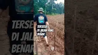 Jalan untuk menuai keberkahan #petani #ketahananpangan #ormasoi #OiTani