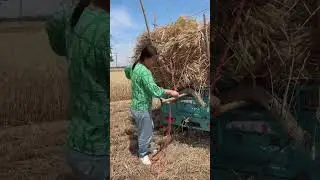Forage tying rope fastening process- Good tools and machinery can increase work efficiency
