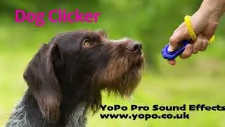 Dog Clicker Sounds - a dog clicker used for clicker training