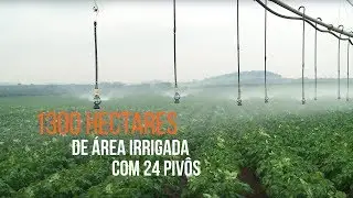 i-Wob Guarantees Irrigation Efficiency in Brazilian Potato Farm
