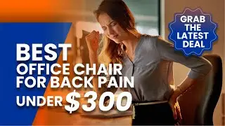 Best Office Chair for Back Pain under $300?