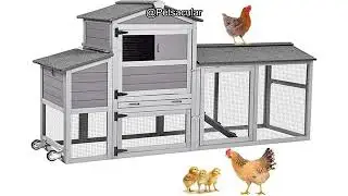 Aivituvin 80in Chicken Coop Review: Is This Mobile Hen House Worth the Investment?
