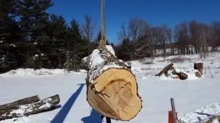 Sunny Day Maple Log Delivery