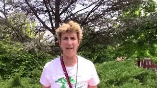 Promo for White Ally Toolkit Workbook