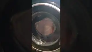 What Is That Noise?
