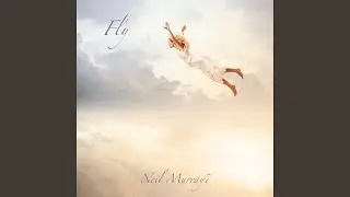 Fly