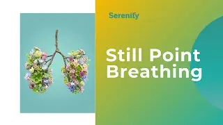 Stillpoint Breathing | for menopausal and digestive calm
