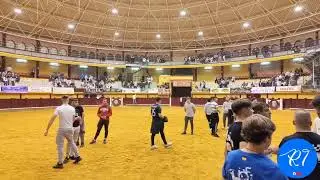 Encierro urbano y capea de vacas. Alba de Tormes (Salamanca). 11/10/2025