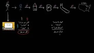 Flu surveillance  | Infectious diseases | Health and Medicine |  Khan Academy Urdu