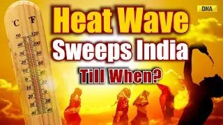 IMD Issues Red Alert As Heatwave Grips Northern India, Delhi, Haryana, Punjab Continues To Reel