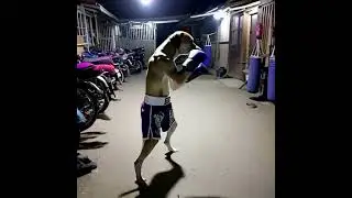 My boxing dog #pets #dogs