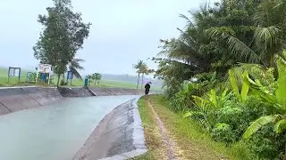 Walking Full of Cold Weather Heavy Rain Complete Goodbye anxiety to sleep fast with thunder