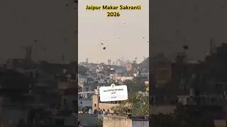 Jaipur Makar Sakranti Kite flying 2026 #shorts #kite #kiteflying #makarsankranti #trending #viral