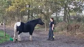 Calm eating 2 and Nose target 1 | Work in progress #2