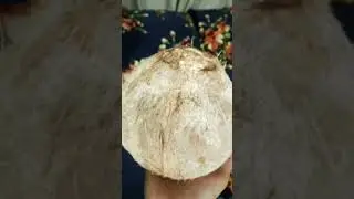 😋😋😋👌👌