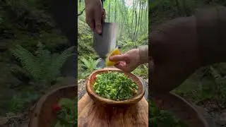 Food lover |Jungle Food best trip|Adventure place |Cooking in jungle #adventurecooking #cookingvideo