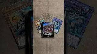 1-е место: Dracotail | Праздничное мероприятие Neuron