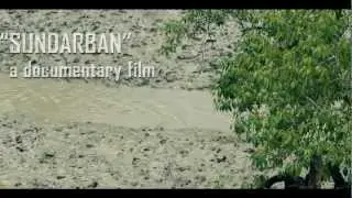 Sundarban Documentary