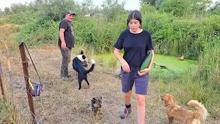 Vamos al huerto con la jauría que lo tengo abandonao, a ver qué encontramos paquí