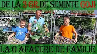 De la 3 grame de seminte la o afacere de familie cu plante 