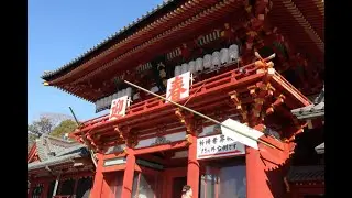 遅ればせながらの初詣、鎌倉鶴岡八幡宮で
