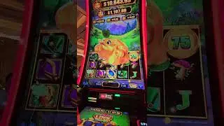 RAKING BACON LINK BACK TO BACK BONUSES YEAHHHH VIVA LAS VEGAS ❤️ 😍 💖 🔥