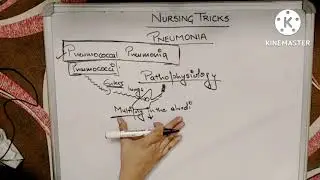 Lower Respiratory Tract Infection (Types of Pneumonia)@NursingTricks