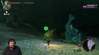 Solo Sunday: Tonight, Ganondorf goes DOWN!