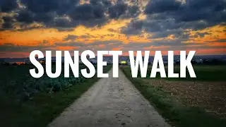 Sunset Walk in German Countryside 🇩🇪📹| Esslingen am Neckar 📍| Full HD 1080p