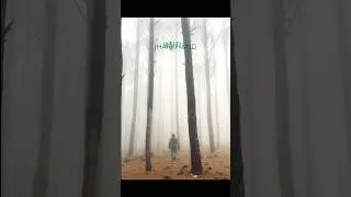 Netarhat &ndash; Beauty of Jharkhand 🌄 || Pine Forest & Rainy Vibes #jharkhand #ytshorts